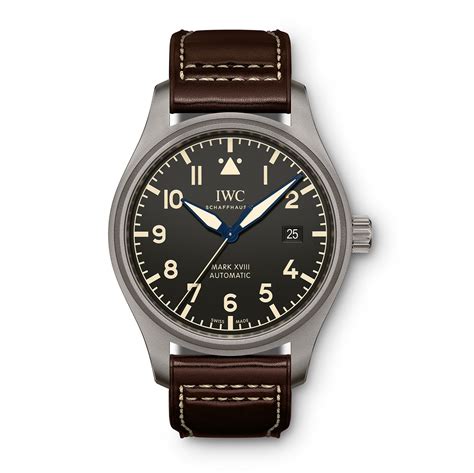 iwc mark xviii titanium|iwc mark xviii price.